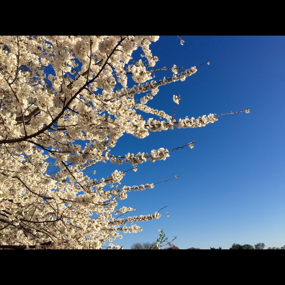 Meet your Posher, Fatma